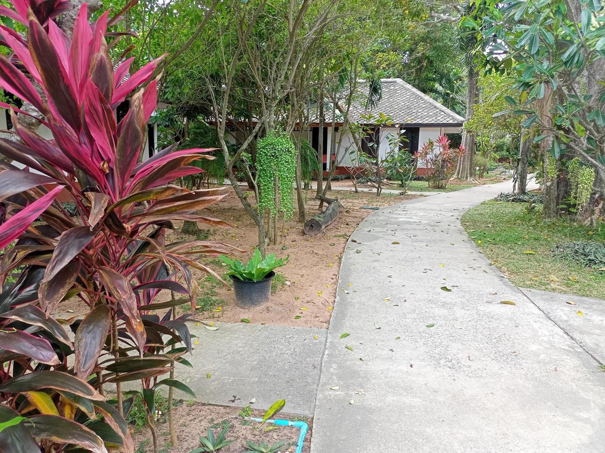 The Hive Hotel Lamai Beach  Bagian luar foto